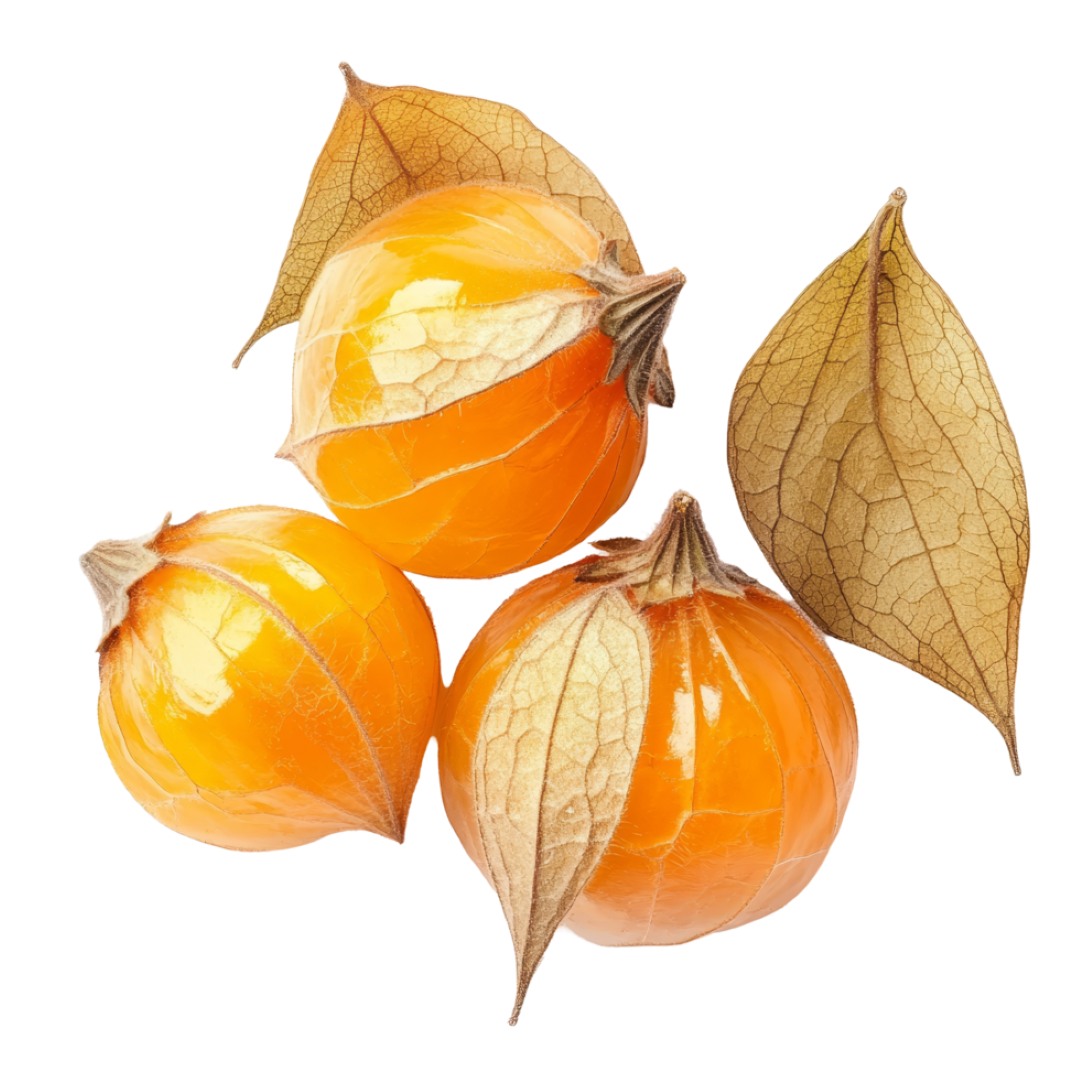 ECO CAPE GOOSEBBERY & GINGER HINT OF CHILLI 